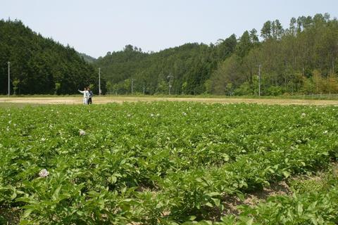 田川市民体験農園